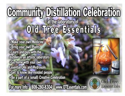 Community Distillation 2013 Flyer